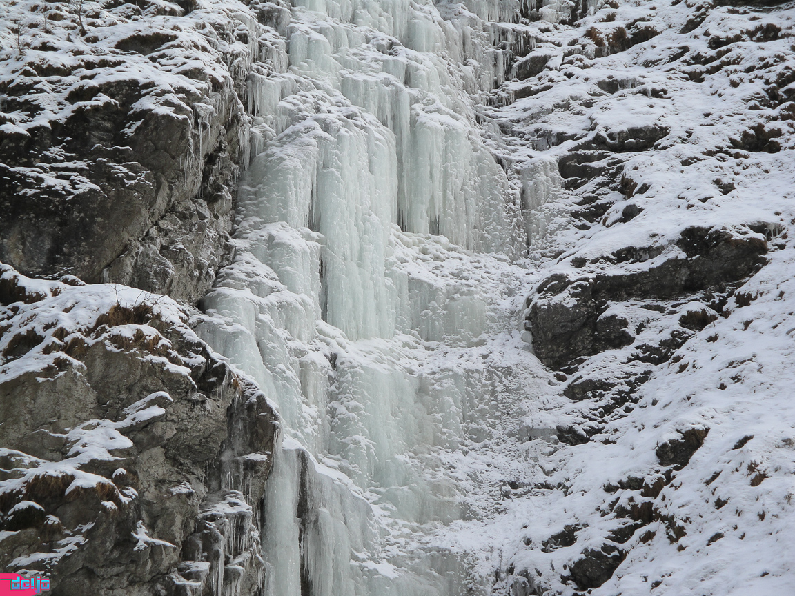 23. Januar 2011
