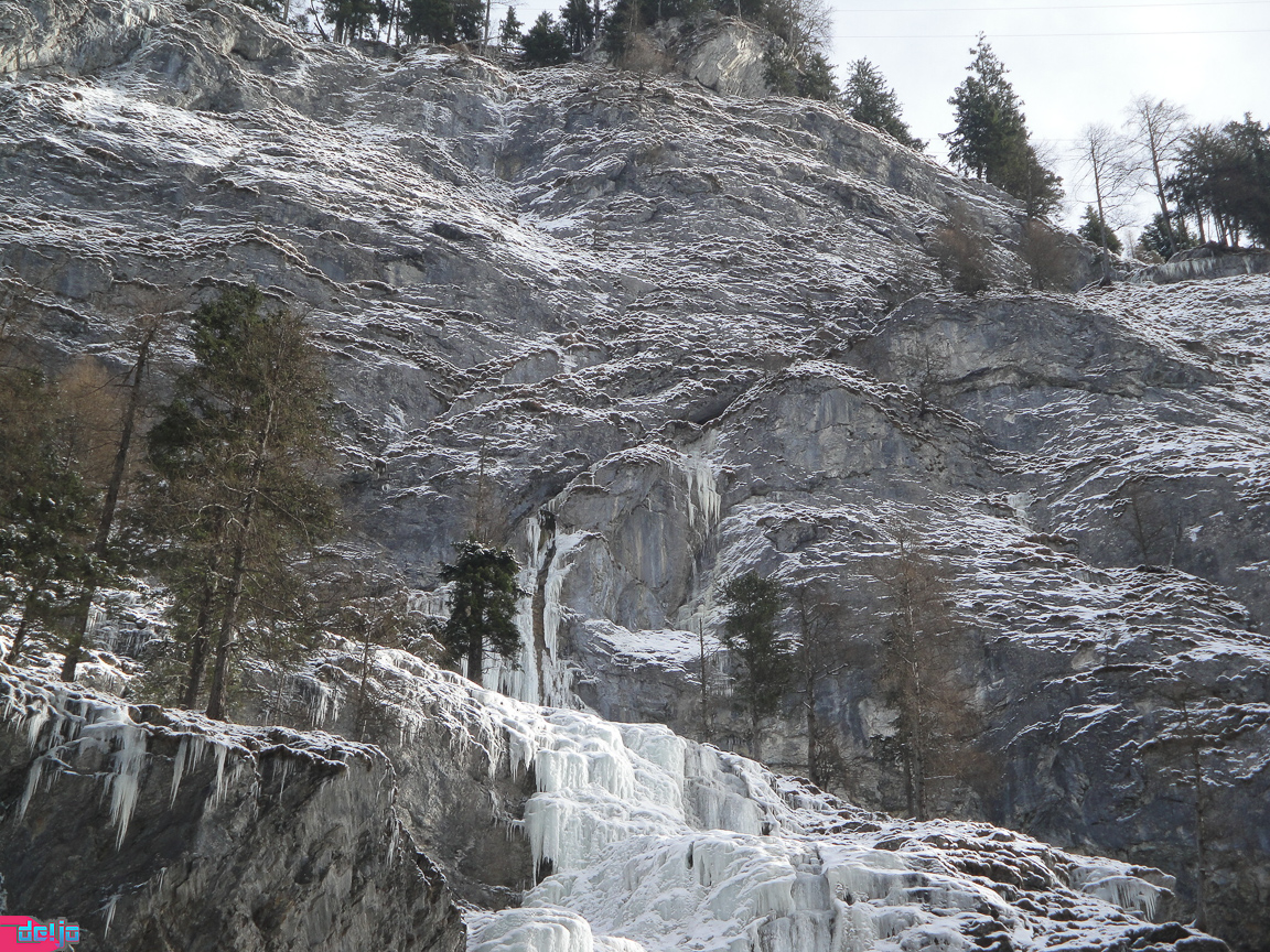 23. Januar 2011