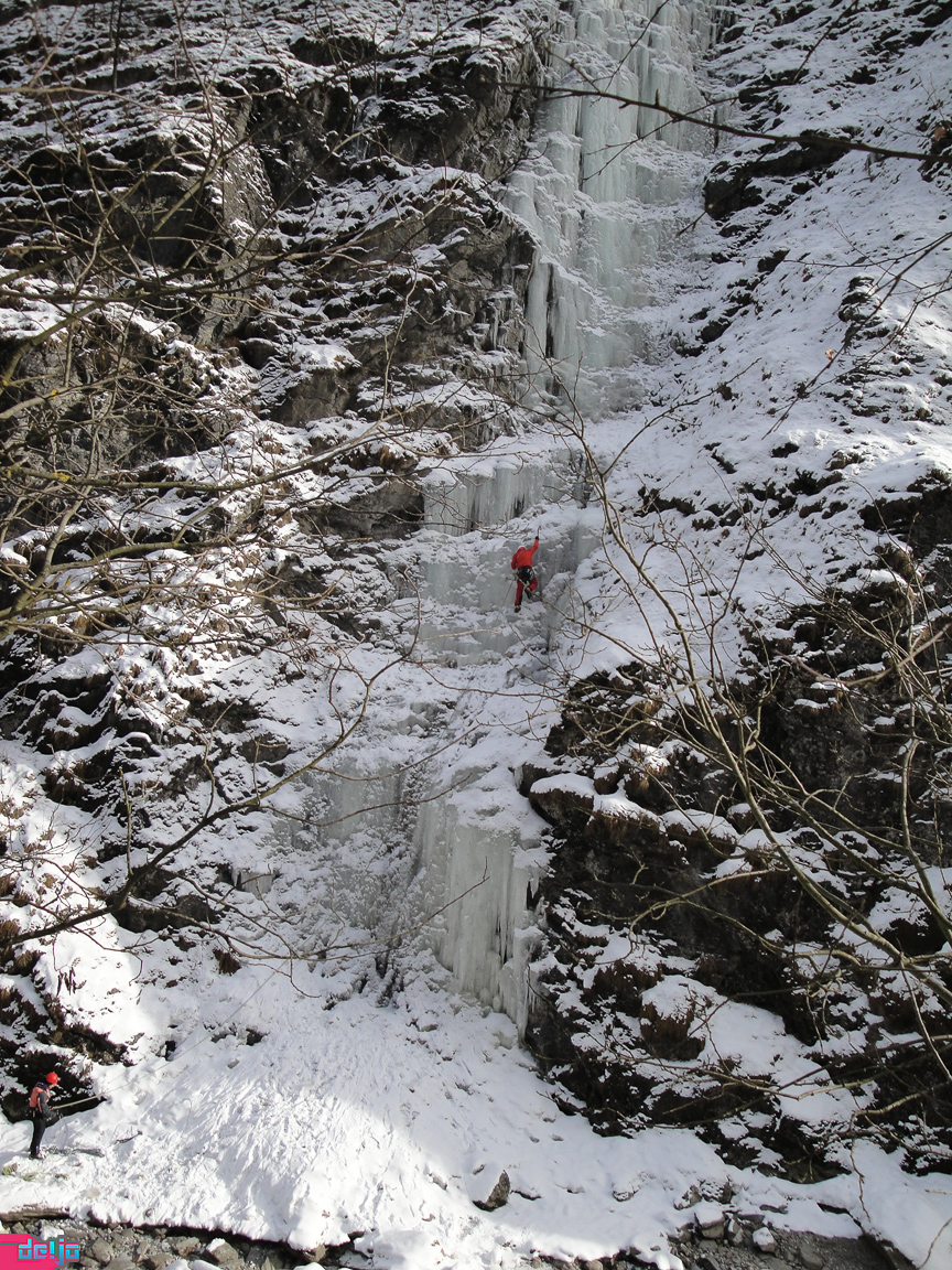 23. Januar 2011