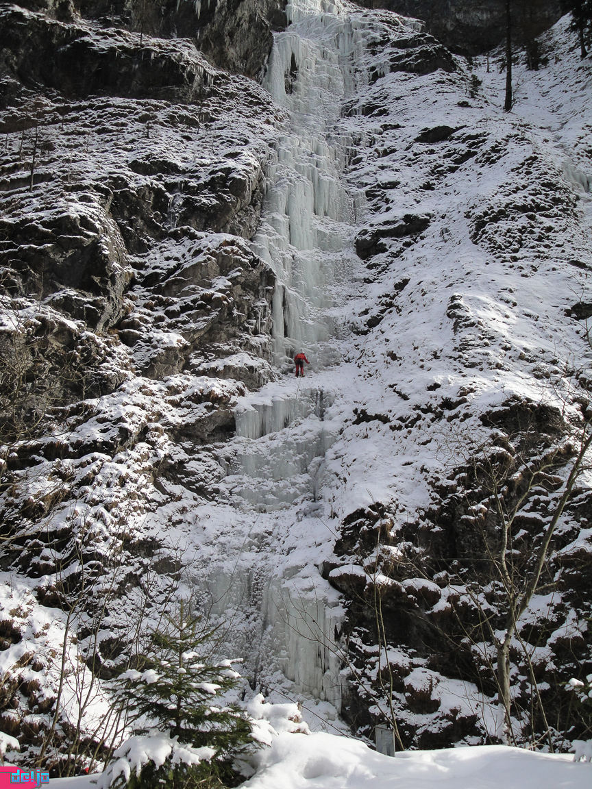 23. Januar 2011