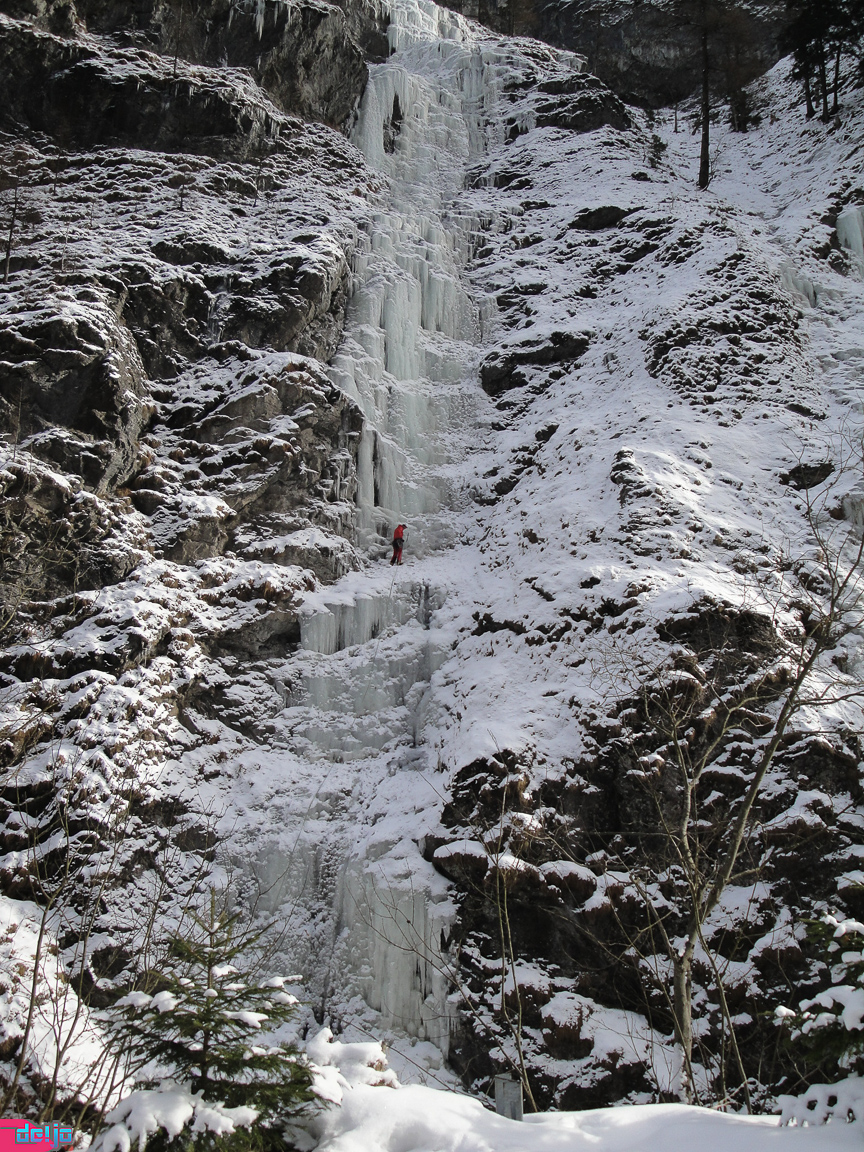 23. Januar 2011