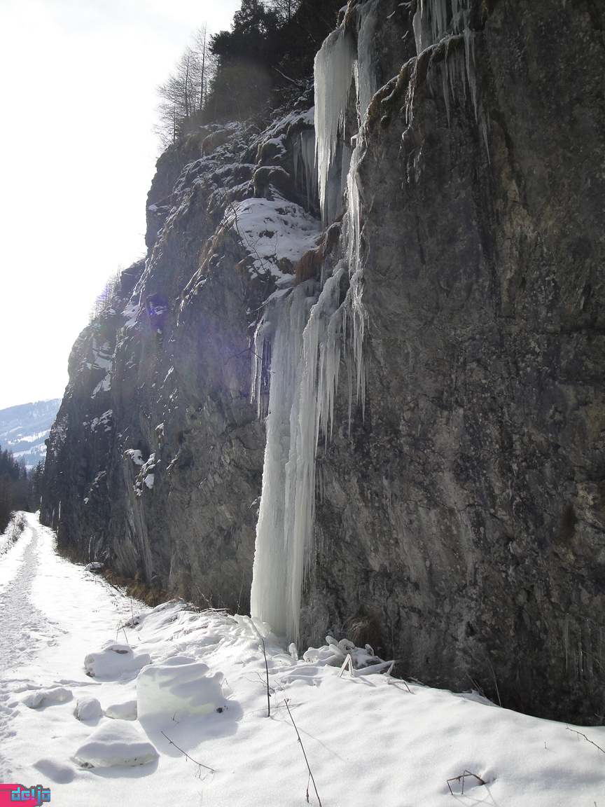 23. Januar 2011