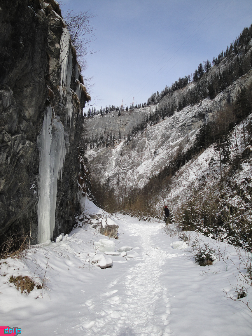 23. Januar 2011