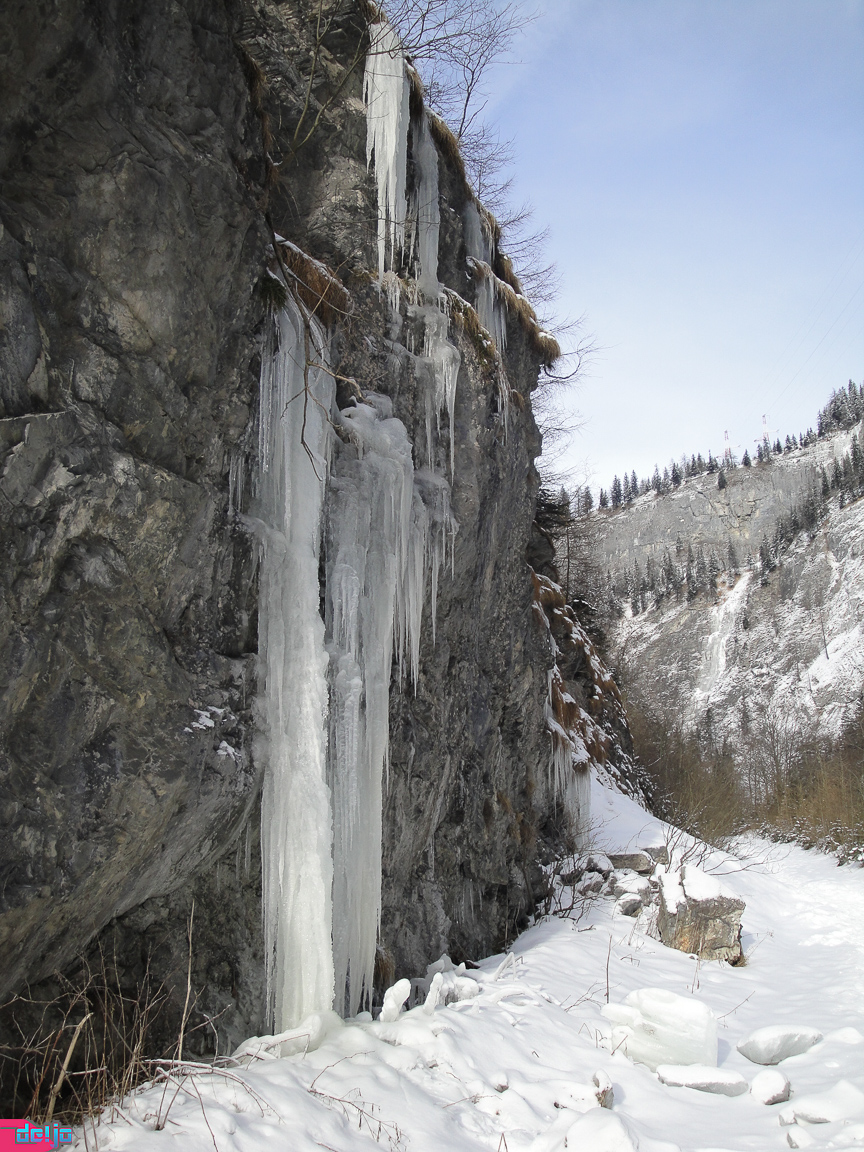 23. Januar 2011