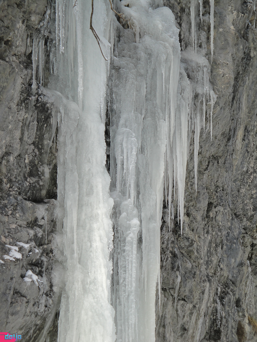 23. Januar 2011