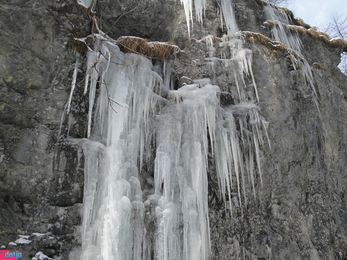 23. Januar 2011