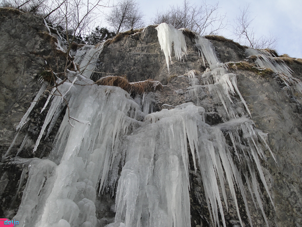 23. Januar 2011