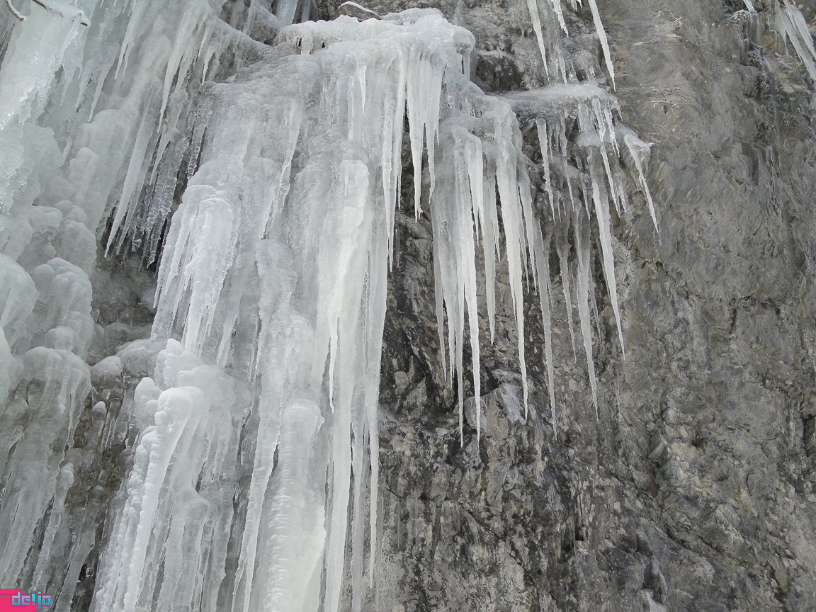 23. Januar 2011
