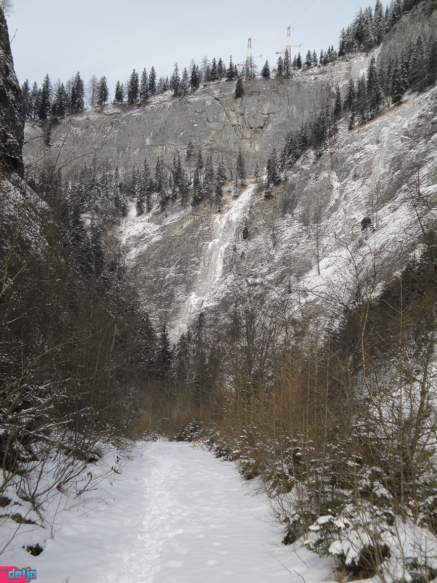 23. Januar 2011