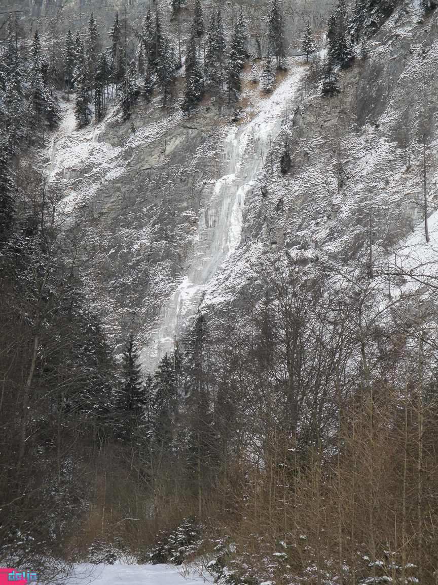 23. Januar 2011