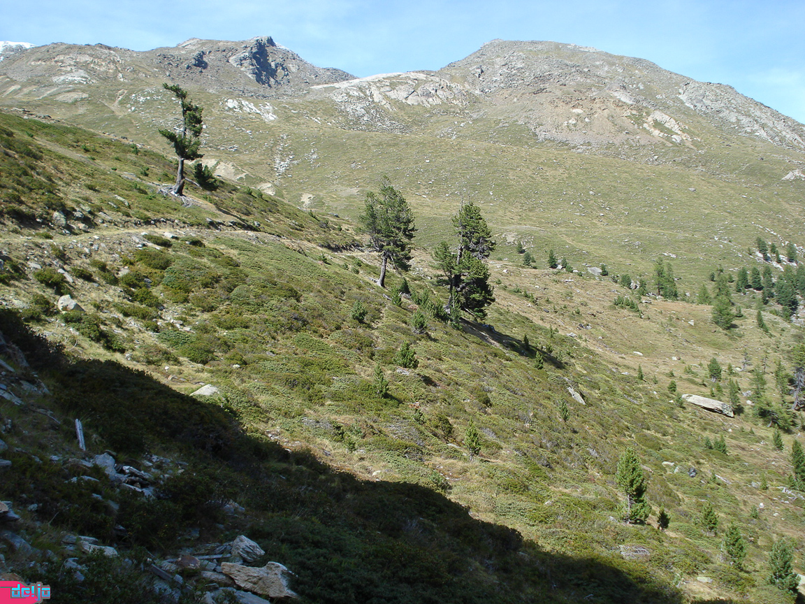 16. September 2008