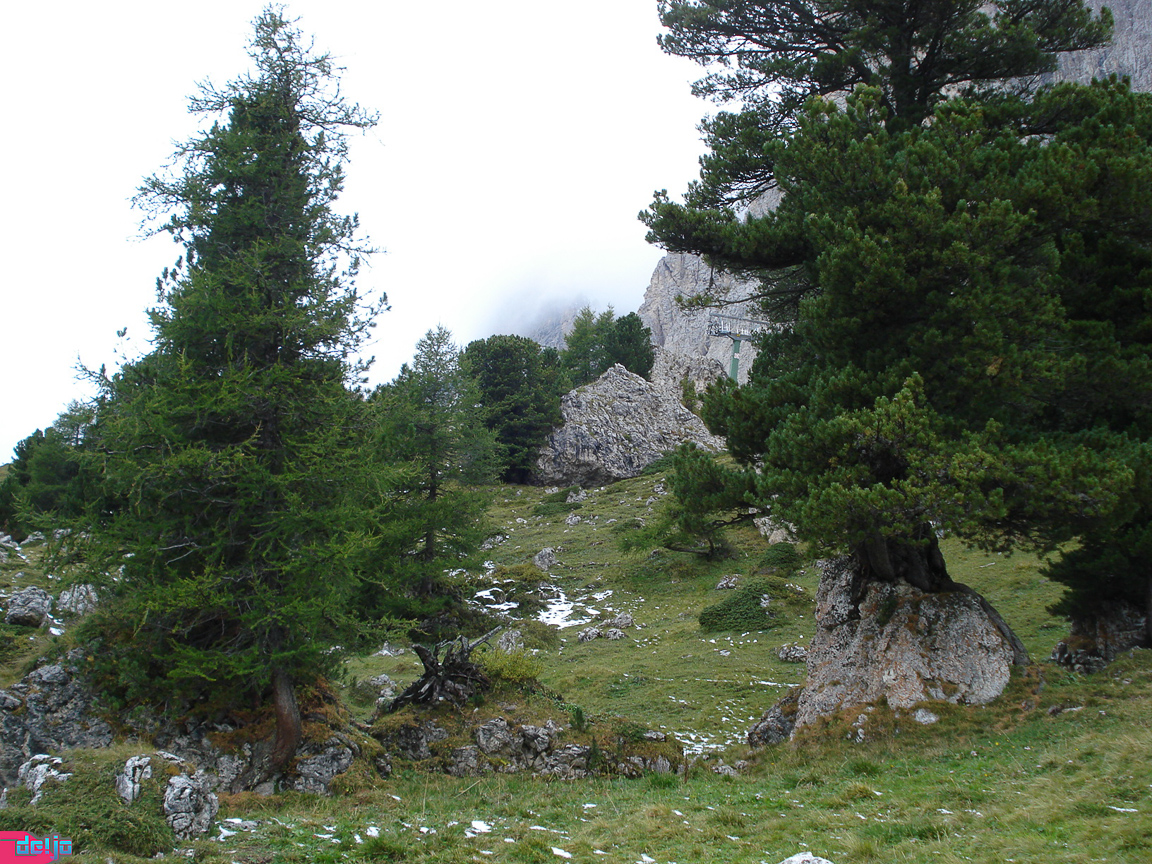 15. September 2009