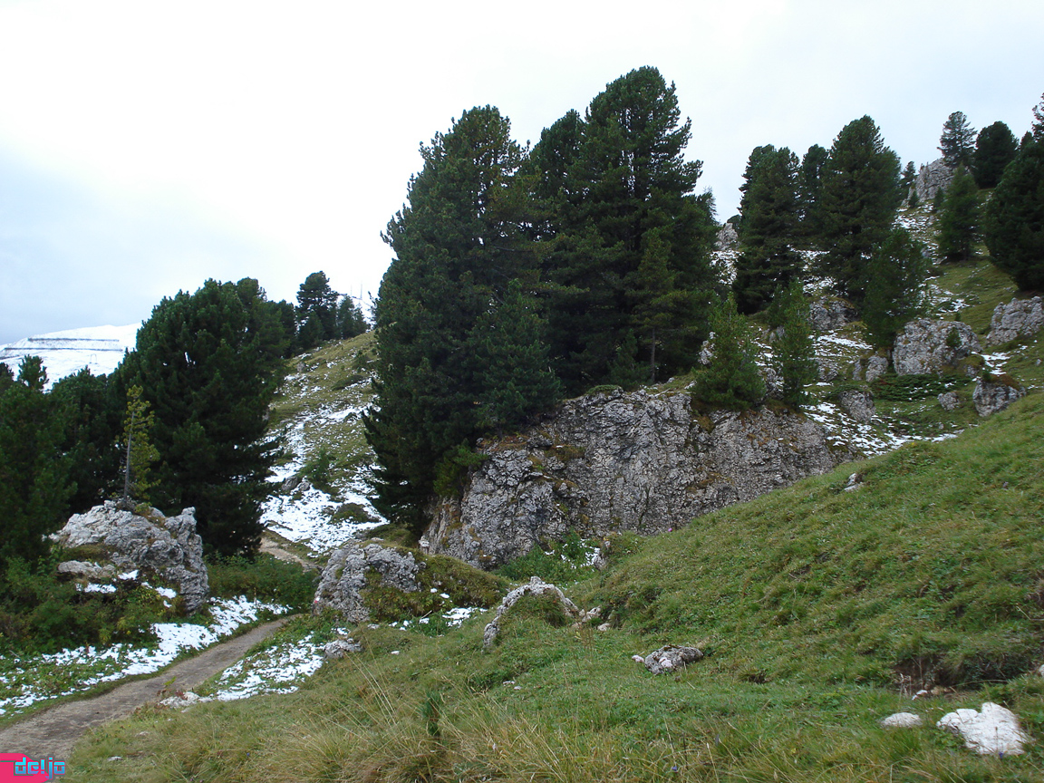 15. September 2009