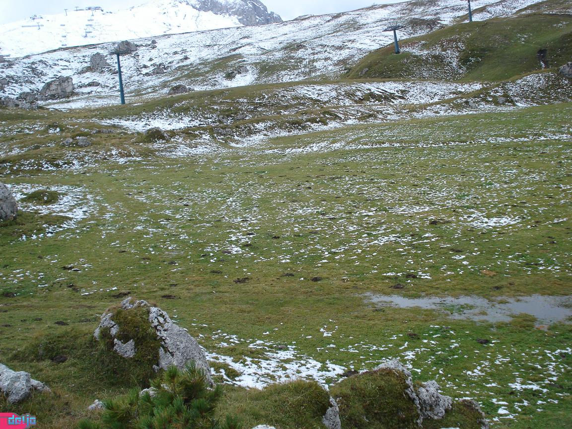 15. September 2009